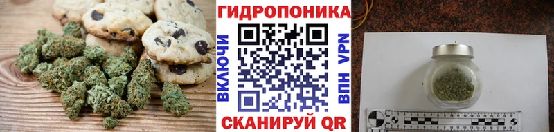 Cannafood марихуана  Купить где  Шебекино 