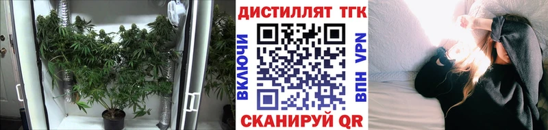 Дистиллят ТГК концентрат  Купить  Шебекино 